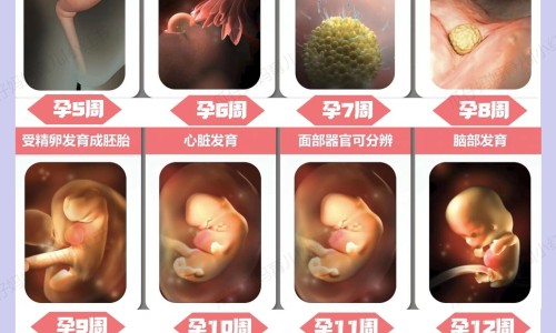 吃坎地沙坦胶囊期间怀孕了怎么办网-分享吃坎地沙坦酯片头晕怎么办，坎地沙坦怀孕误服怎么办知识库