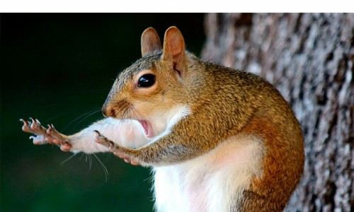 服用坎地沙坦会出现低血压吗-吃坎地沙坦胶囊期间怀孕了怎么办网-分享吃坎地沙坦酯片头晕怎么办，坎地沙坦怀孕误服怎么办知识库